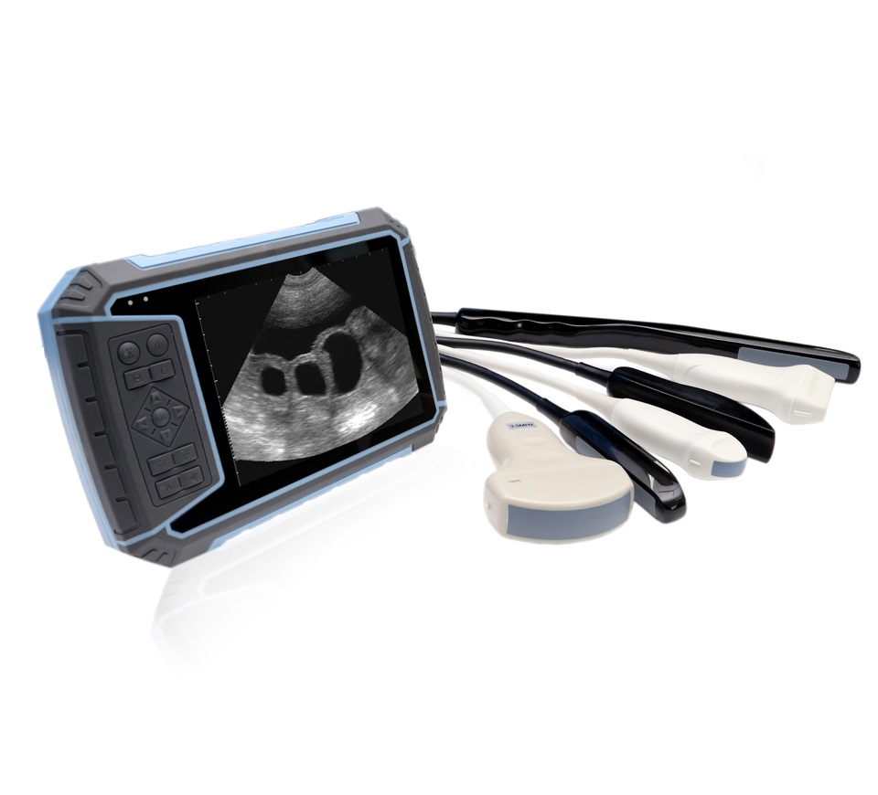 Veterinary Ultrasound Scanner