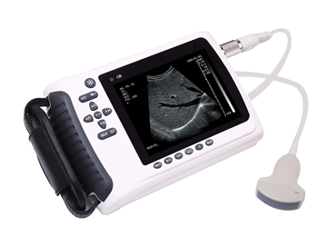 PL-3018H Handheld Ultrasound Scanner