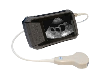 Veterinary Ultrasound Scanner