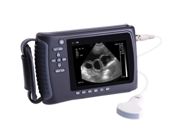 Veterinary Handheld Ultrasound Scanner