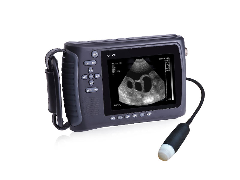 Veterinary Handheld Ultrasound Scanner