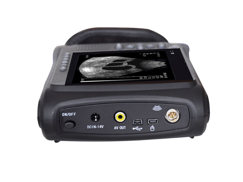 Veterinary Handheld Ultrasound Scanner