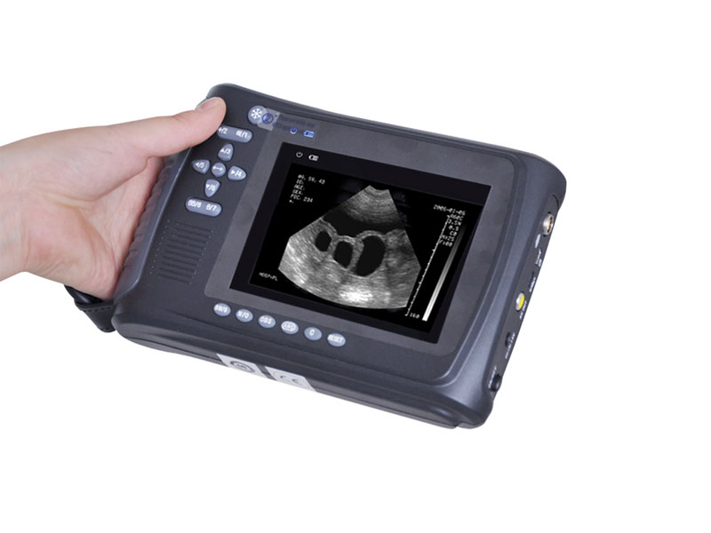 Veterinary Handheld Ultrasound Scanner