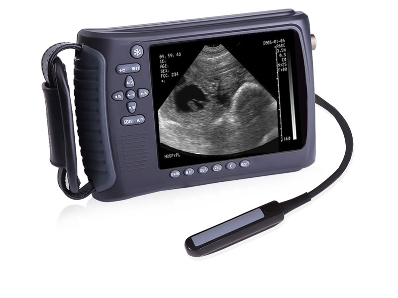 Veterinary Handheld Ultrasound Scanner