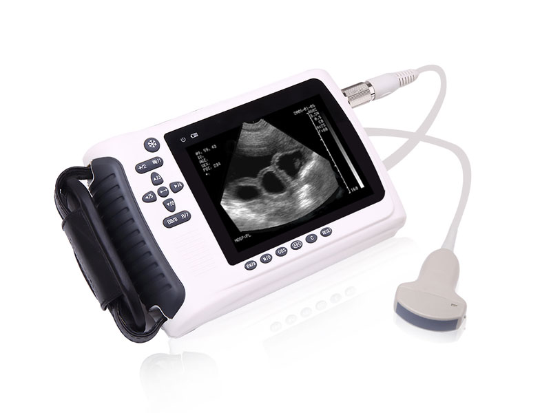 Veterinary Handheld Ultrasound Scanner