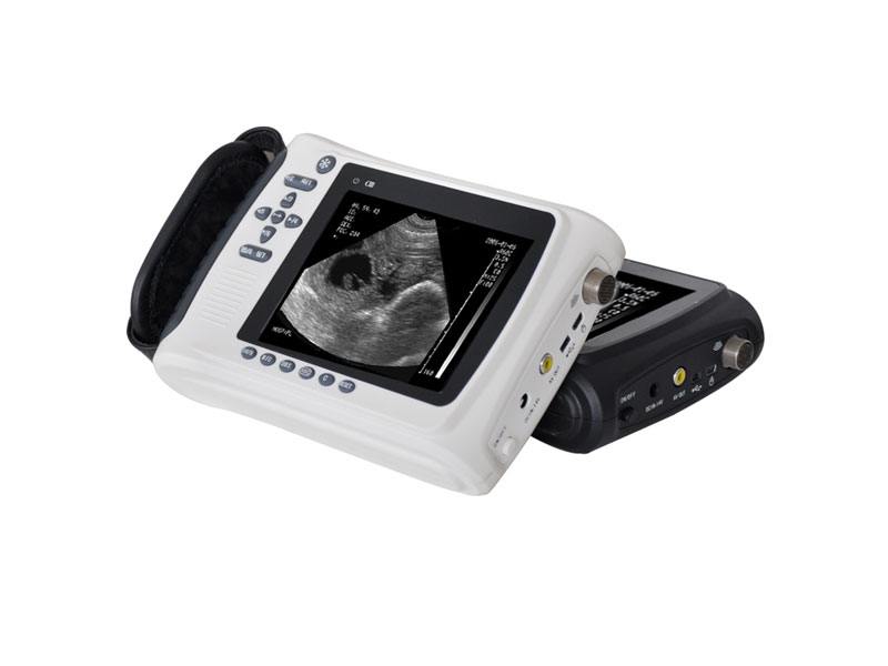 Veterinary Handheld Ultrasound Scanner