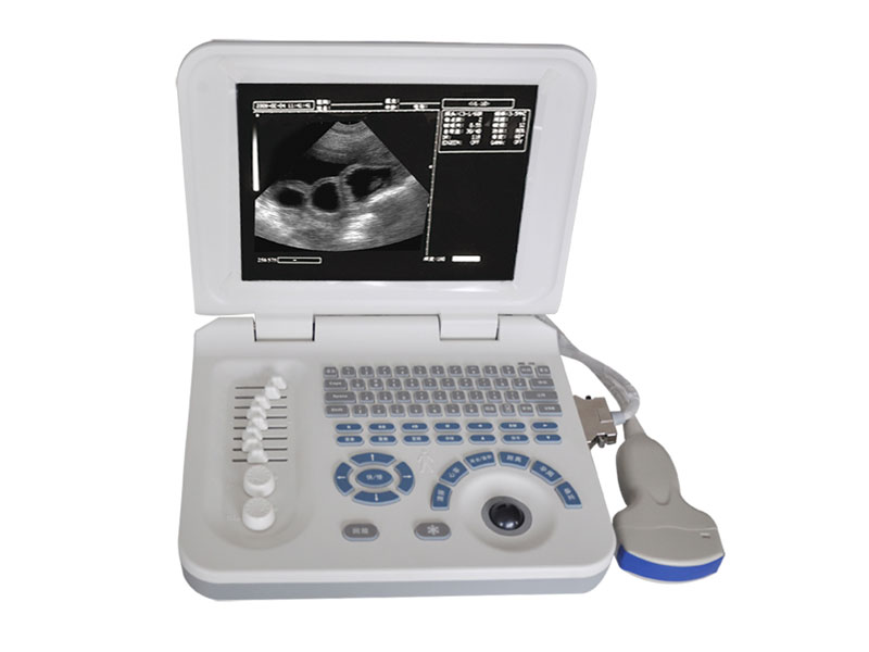 Veterinary Laptop Ultrasound Scanner